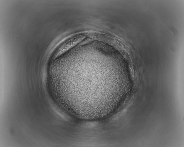X0000113020247200909101843
