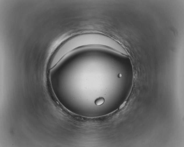 X0000113020248200909101843