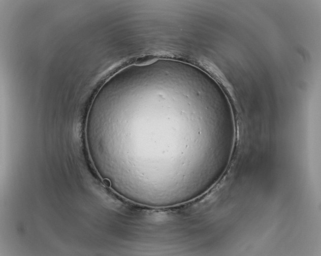 X0000113020249200909101843