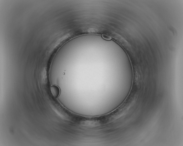 X0000113020251200909101843
