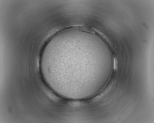 X0000113020253200909101843