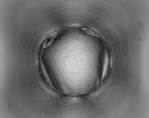 X0000113020254200909101843