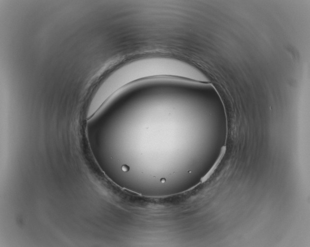 X0000113020256200909101843