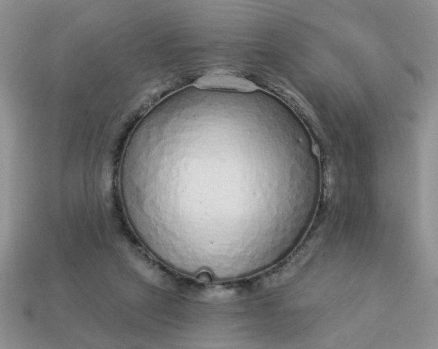 X0000113020257200909101843