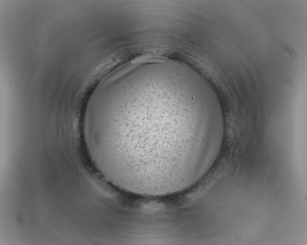 X0000113020258200909101843
