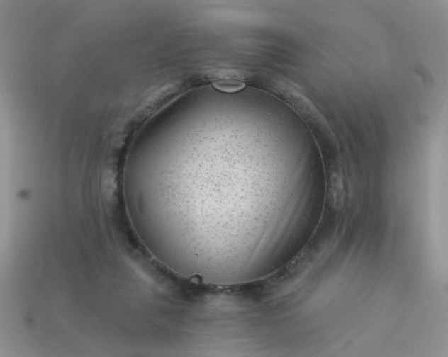 X0000113020259200909101843