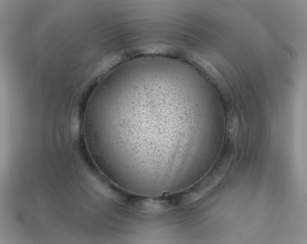 X0000113020261200909101843