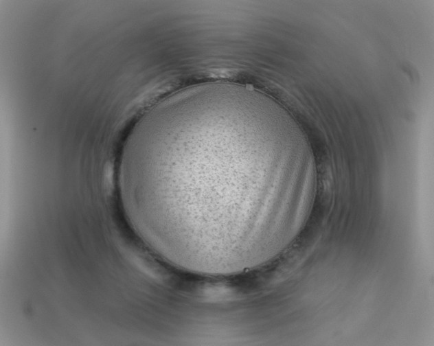 X0000113020262200909101843