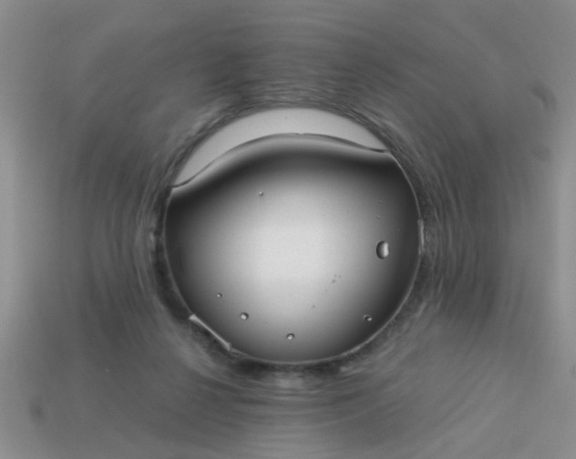 X0000113020264200909101843