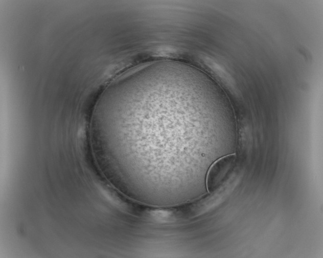 X0000113020265200909101843