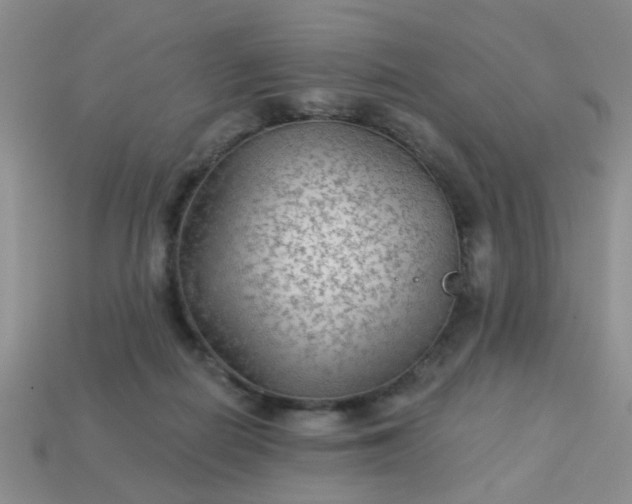 X0000113020266200909101843
