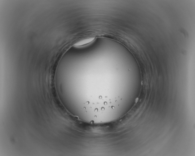 X0000113020268200909101843