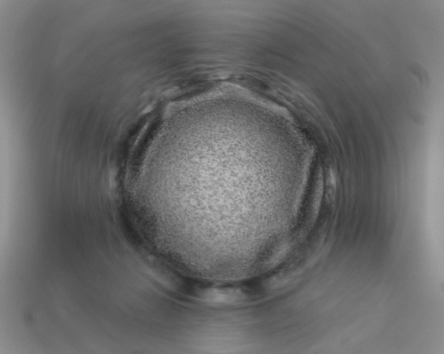 X0000113020270200909101843