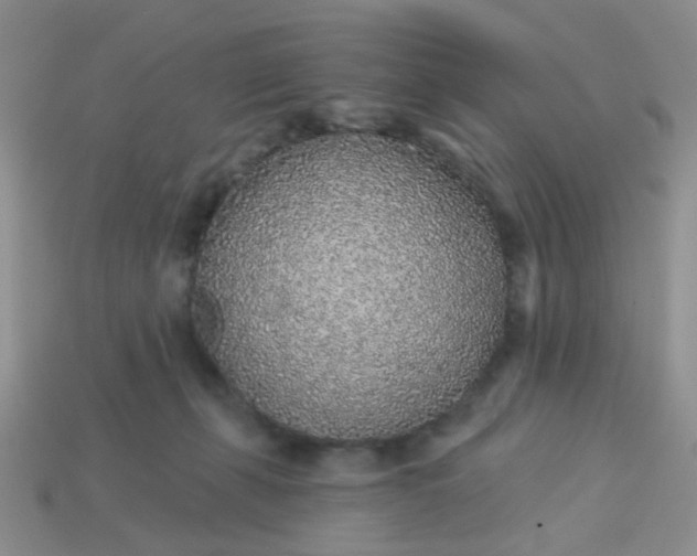 X0000113020271200909101843
