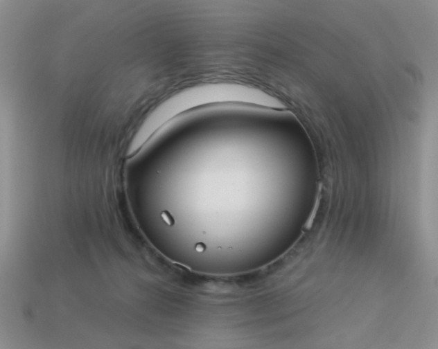 X0000113020272200909101843