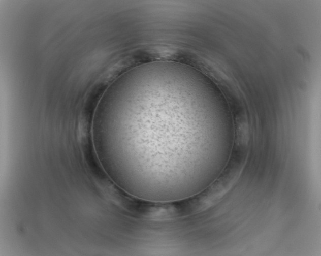 X0000113020274200909101843