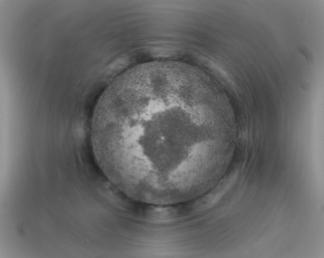 X0000113020277200909101844