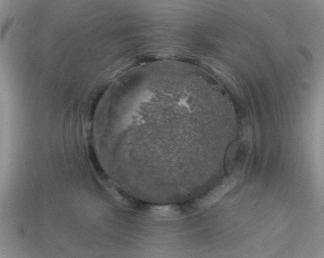 X0000113020281200909101844