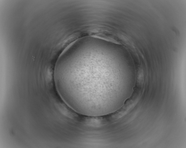 X0000113020282200909101844