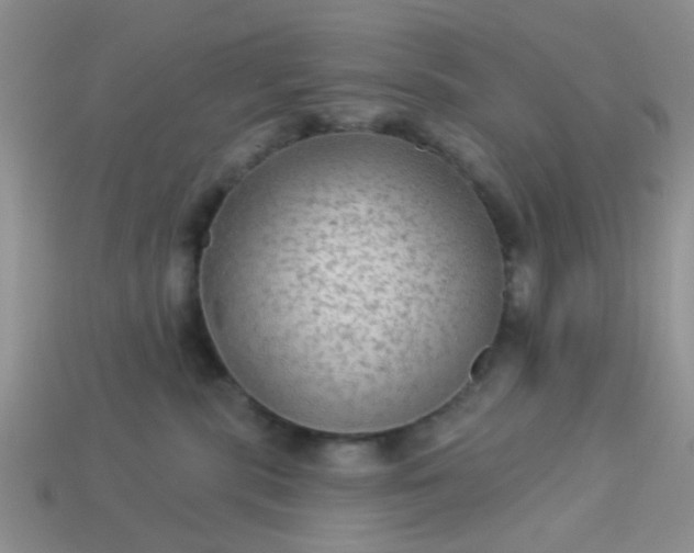 X0000113020283200909101844