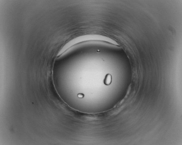 X0000113020284200909101844