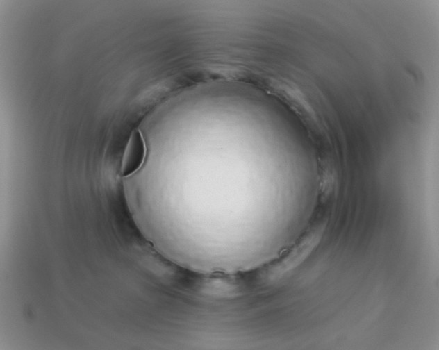 X0000113020285200909101844