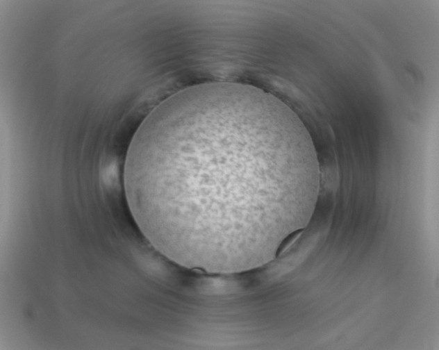 X0000113020286200909101844