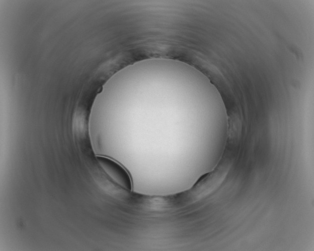 X0000113020287200909101844