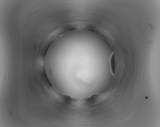 X0000113020288200909101844
