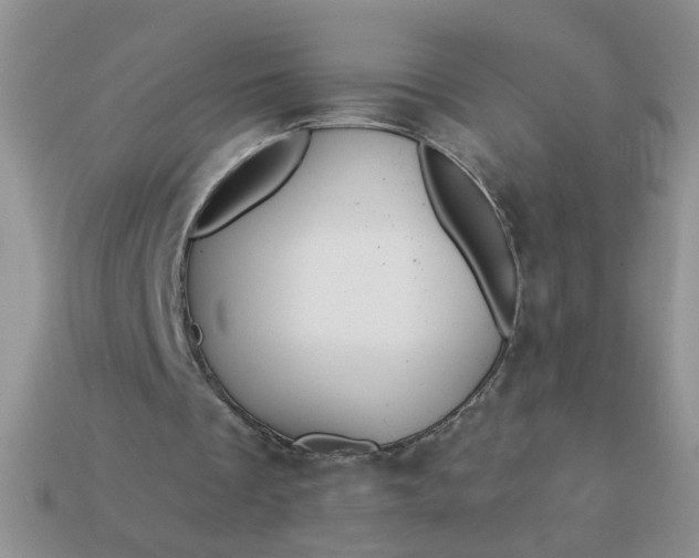X0000113020289200909101843