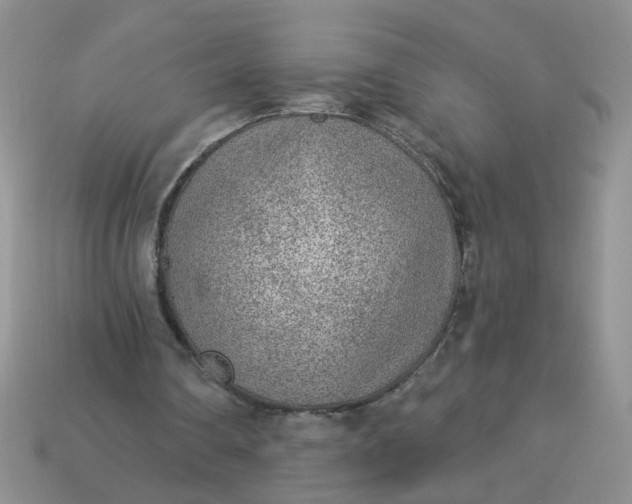 X0000113020290200909101843