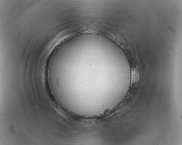 X0000113020291200909101843