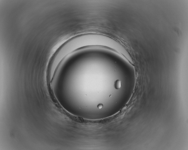 X0000113020292200909101843
