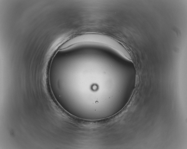X0000113020293200909101843