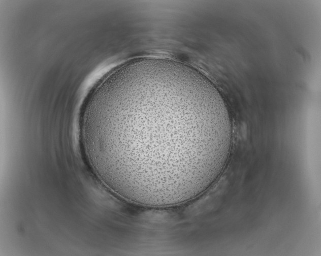 X0000113020294200909101843