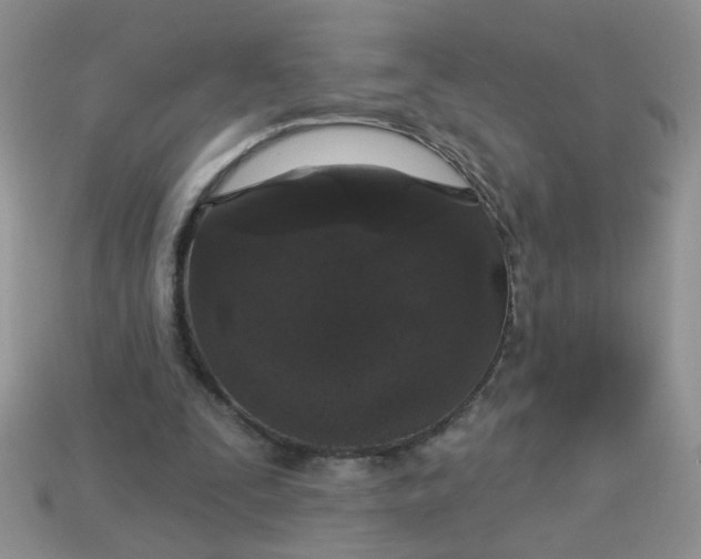 X0000113020295200909101843