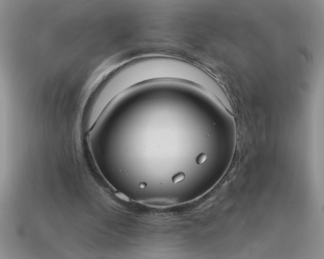 X0000113020296200909101843