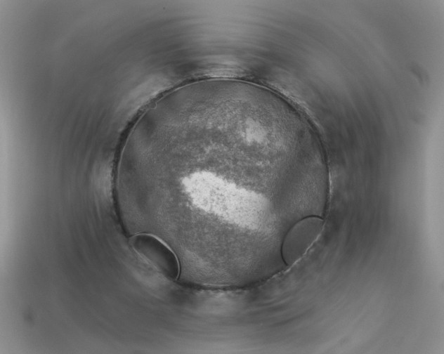 X0000113020297200909101843