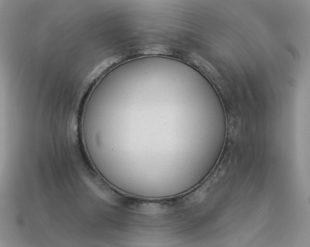 X0000113020298200909101843