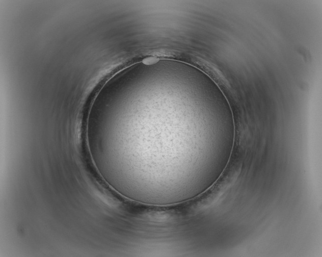 X0000113020299200909101843