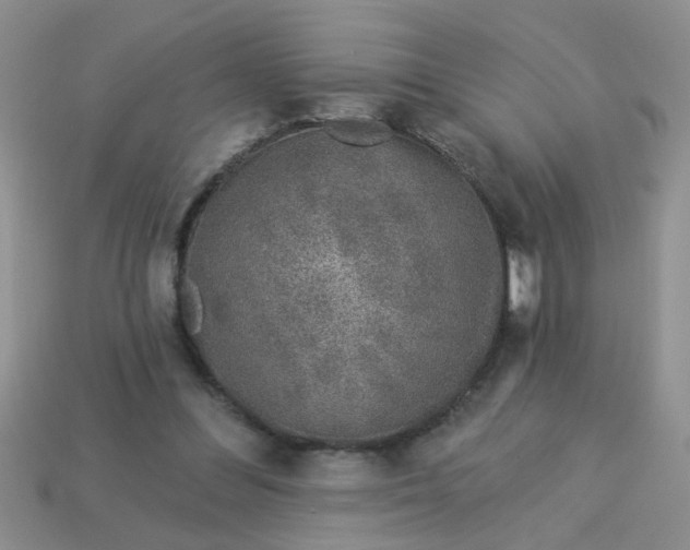 X0000113020300200909101843