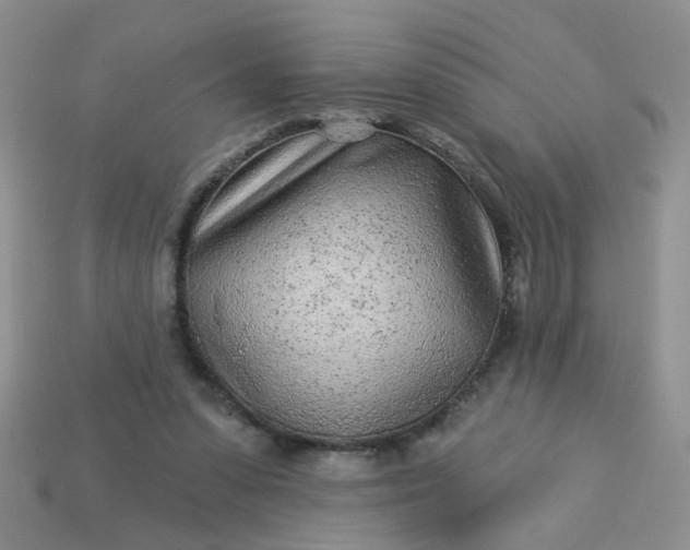 X0000113020303200909101843