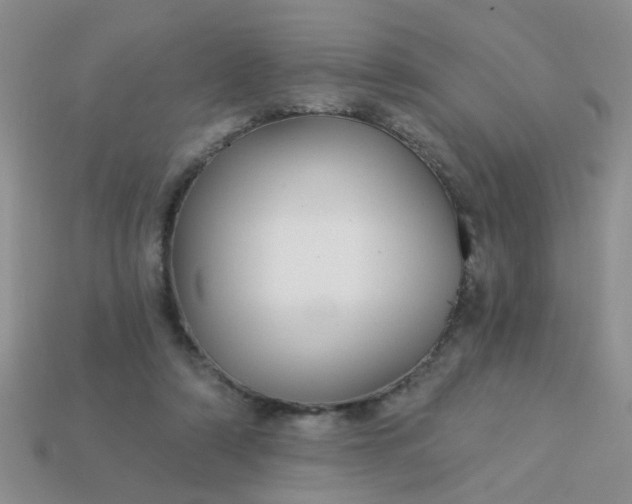 X0000113020306200909101843
