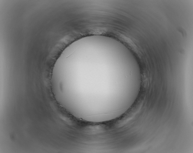 X0000113020307200909101843