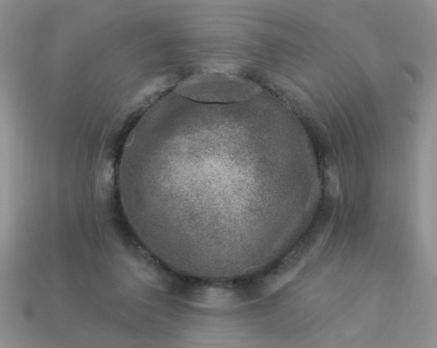 X0000113020308200909101843