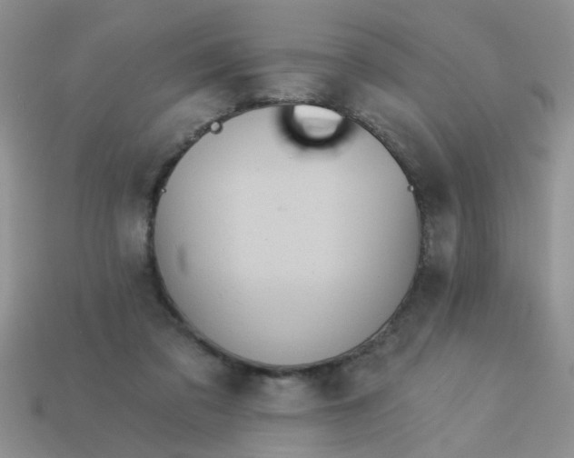 X0000113020309200909101843