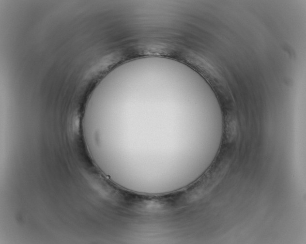 X0000113020310200909101843