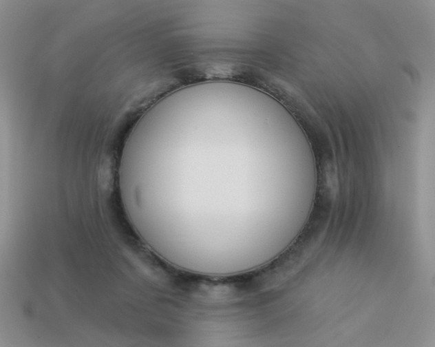 X0000113020311200909101843
