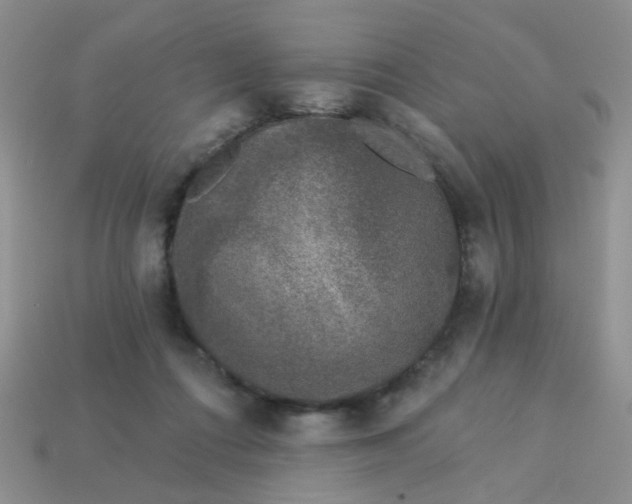 X0000113020312200909101843