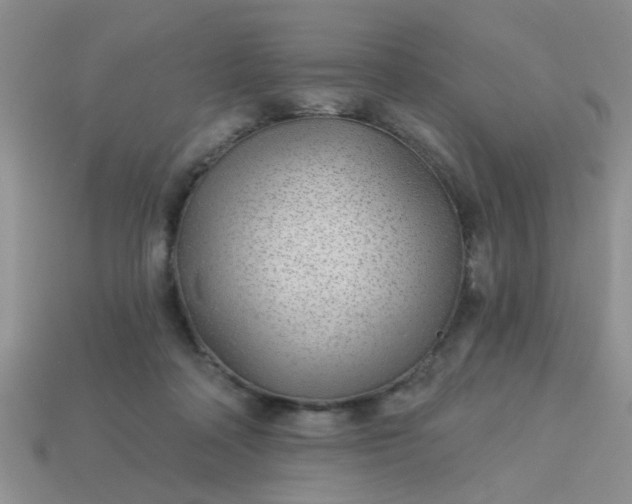 X0000113020314200909101843
